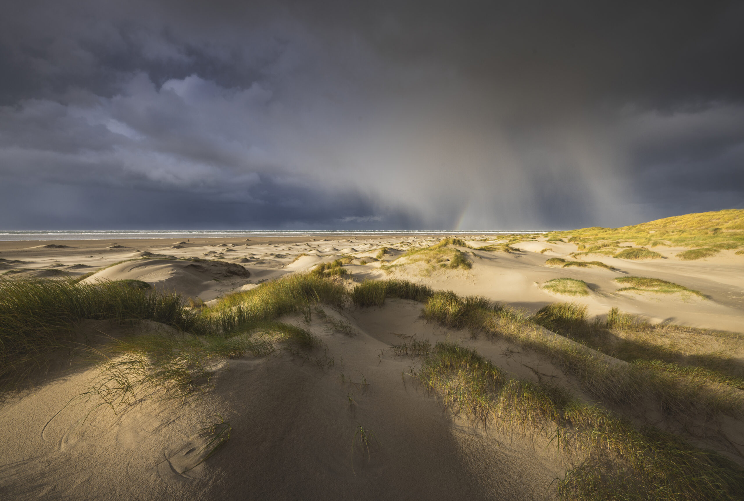 Workshop Landschapsfotografie: De dynamiek en weidsheid van Texel (De Hors) - Afbeelding 3