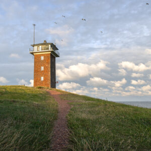 workshop smartphone fotografie den helder