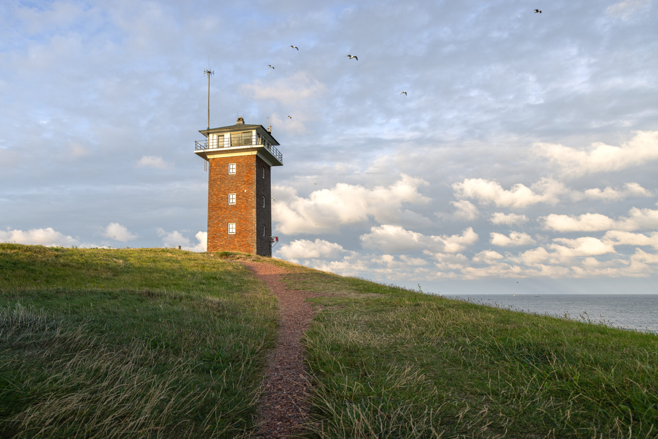 workshop smartphone fotografie den helder