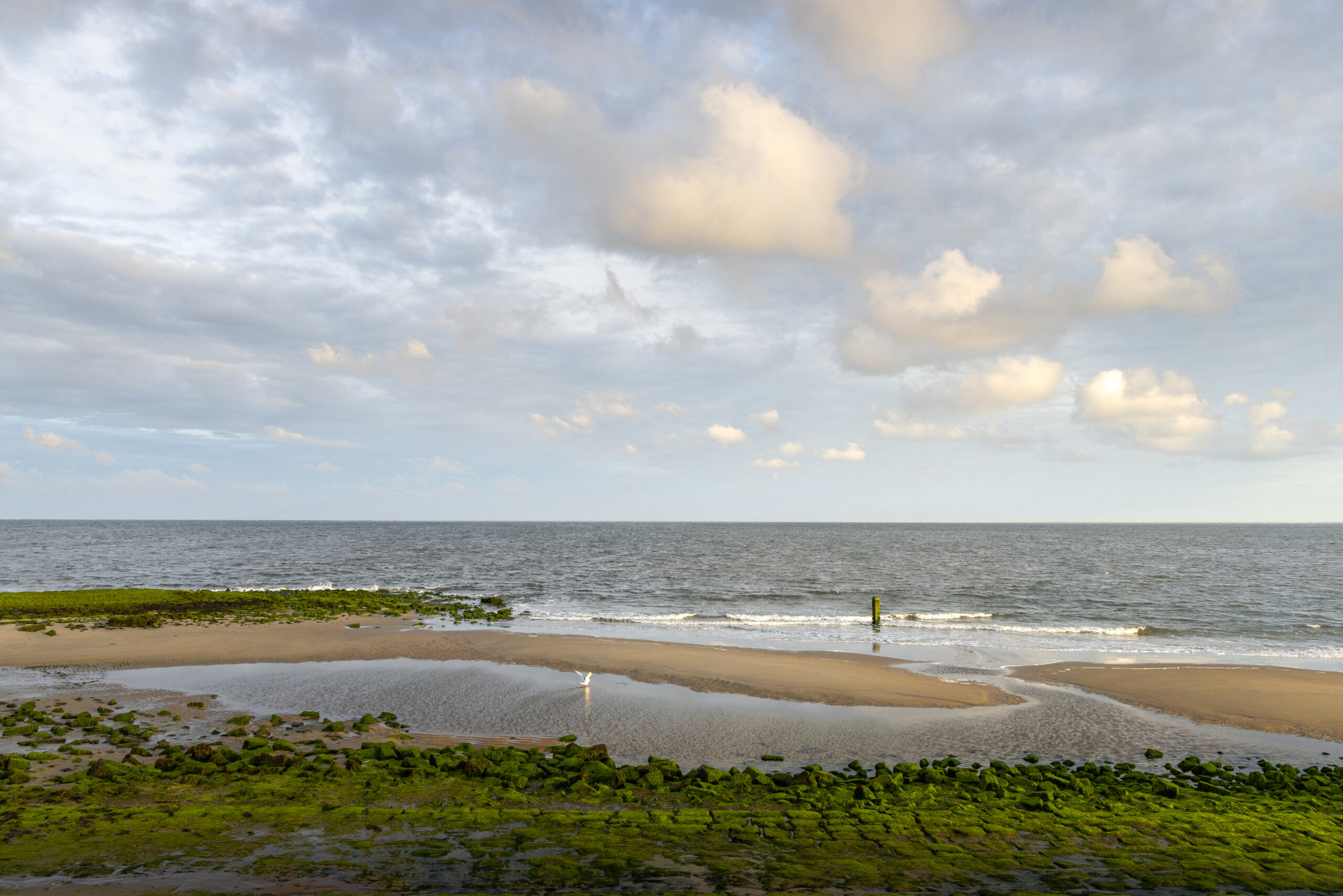 workshop smartphone fotografie den helder